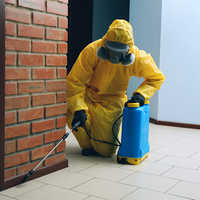 Pest control expert in yellow hazmat suit and gas mask sprays for pests around a brick wall in a hallway